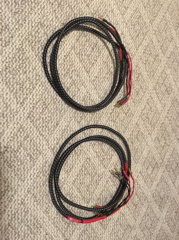 Audioquest  Type 8 10' Bi-Wire