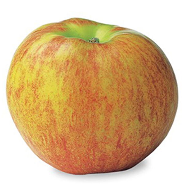 pommes-gravenstein-bio