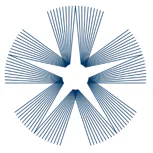 Currency Alliance
