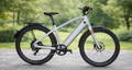 stromer ebike