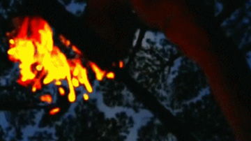 Main Content Image