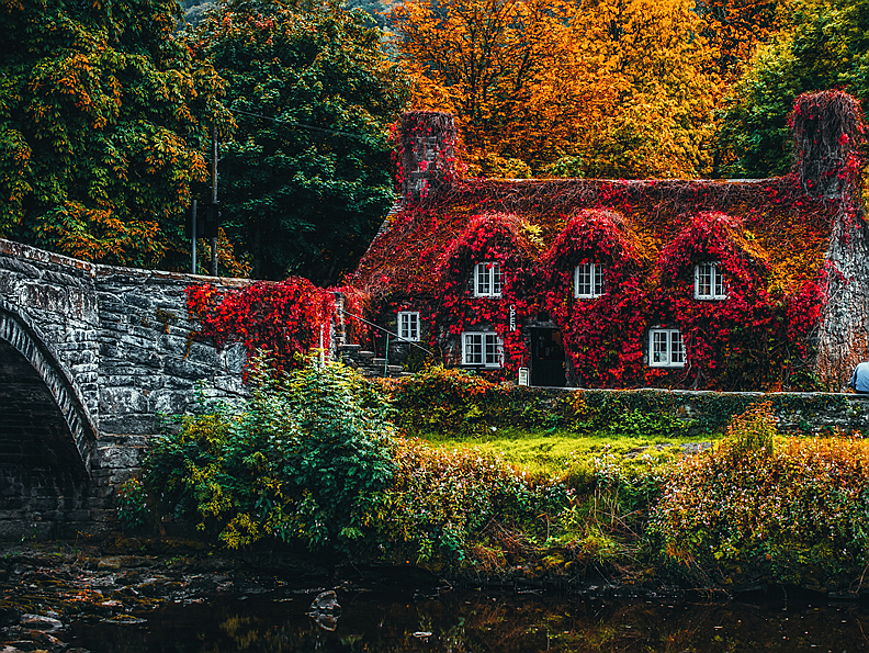  Wallisellen
- Haus im Herbst