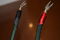 AudioQuest Aspen Speaker Cables 6ft - good condition (s... 6