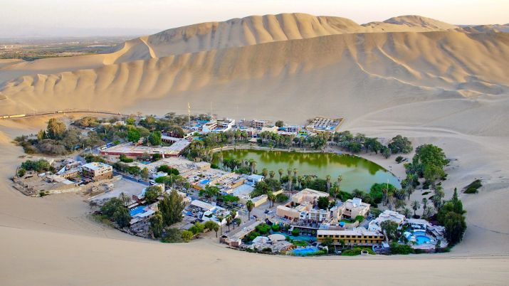 The surroundings of Huacachina are home to a variety of unique desert flora and fauna, adapted to the challenging desert conditions