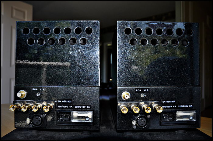 Rear of the amps - note the optional XLR input