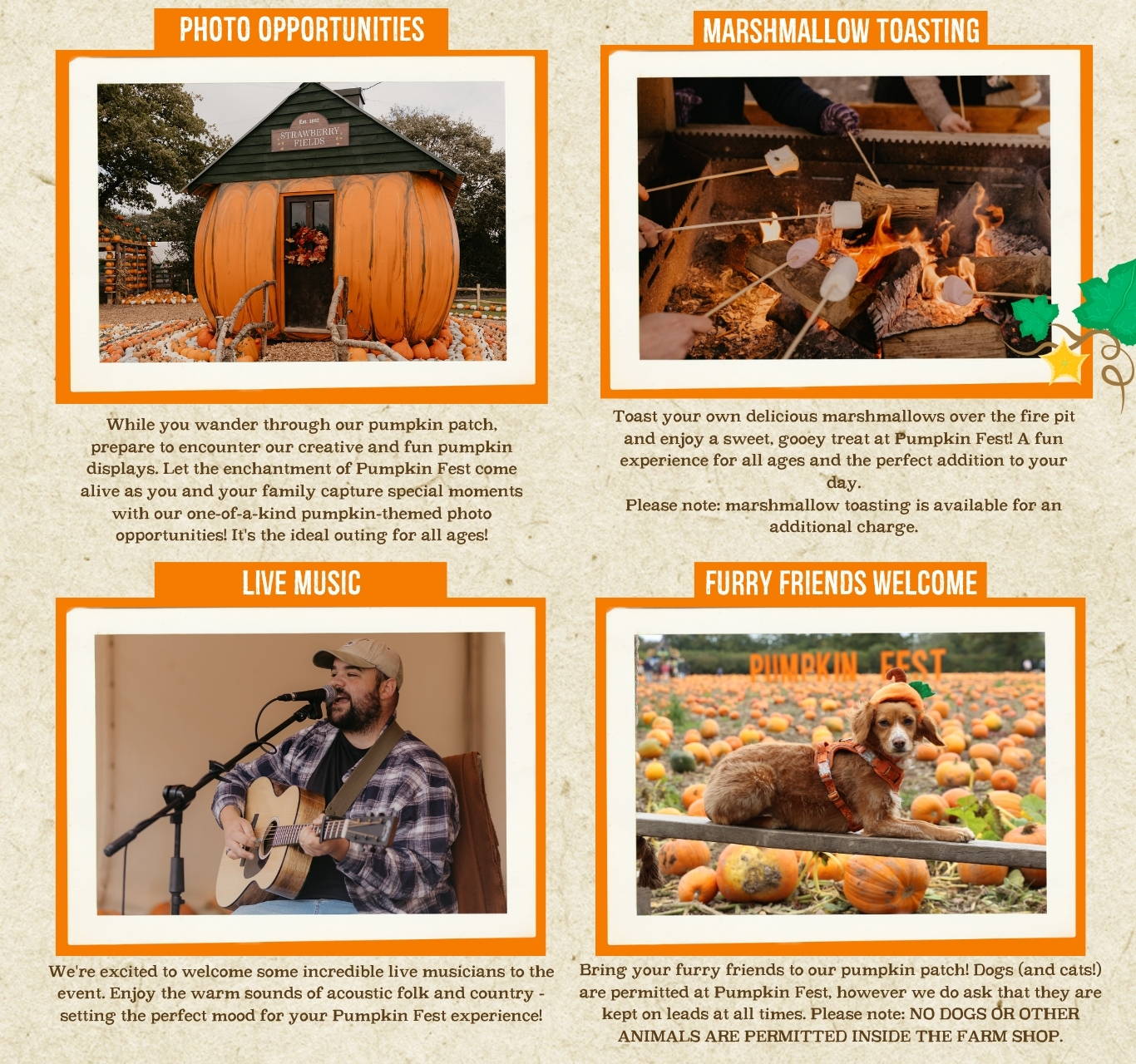 Discover the biggest and best pumpkin festival in Devon & Cornwall, and South West! Pumpkin Fest at Strawberry Fields is the ultimate family day out with a huge pumpkin patch, pumpkin picking, maize maze, barrel train rides, photo spots, tasty autumn treats & fun for all ages. Book now!