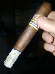 Nice ash