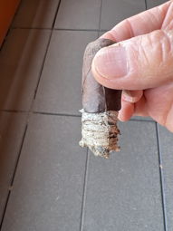 Cigar Session Photo