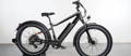 Rad Power RadRover 6 electric bike