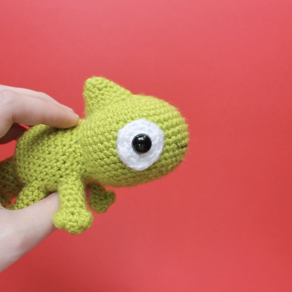 Kiwi the Chameleon