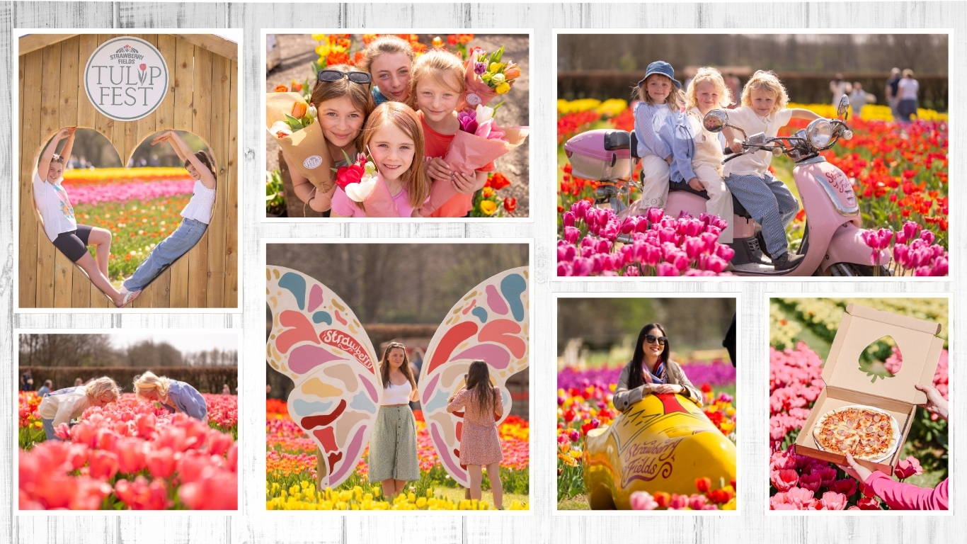 Discover the biggest and best pumpkin festival in Devon & Cornwall, and South West! Pumpkin Fest at Strawberry Fields is the ultimate family day out with a huge pumpkin patch, pumpkin picking, maize maze, barrel train rides, photo spots, tasty autumn treats & fun for all ages. Book now!