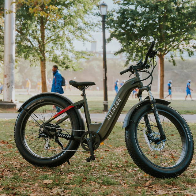 a green Aventon Aventure fat tire electric bike in the park