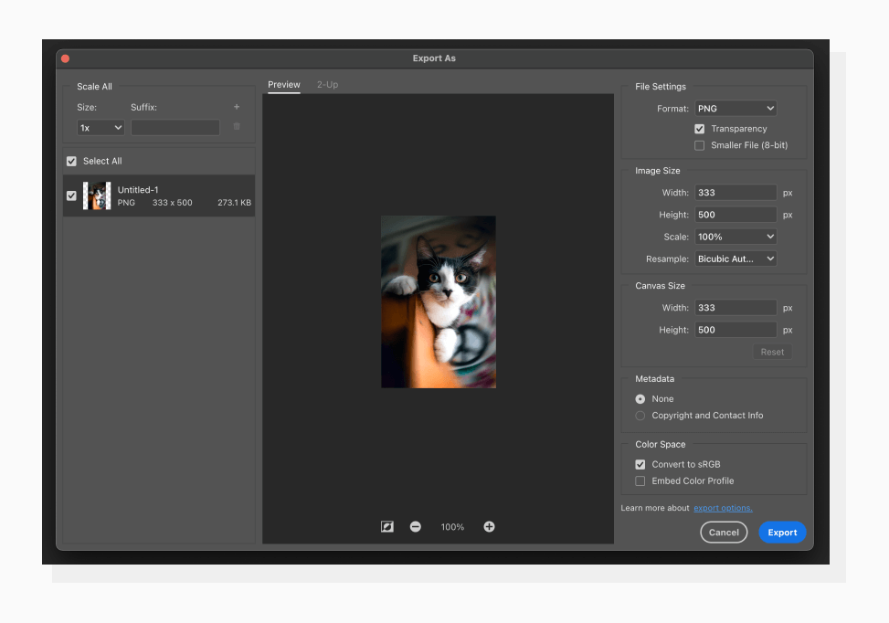 Exporting an image in Photoshop