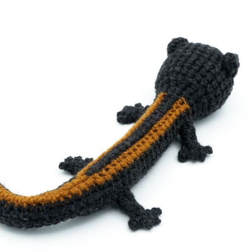 Amigurumi Salamander

Amigurumi Salamander