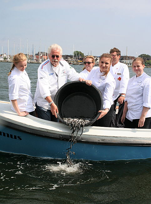  Hamburg
- Köche vom DEHOGA Kreisverband Schleswig-Flensburg helfen beim Aussetzen der jungen Aale. © Nicole Knapstein