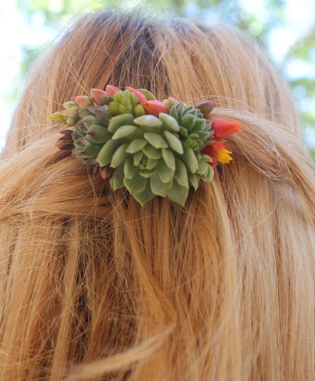 succulent combs hair bride accent succulents