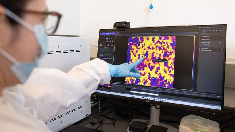 A scientist tracks real-time neural activity from a brain cell culture