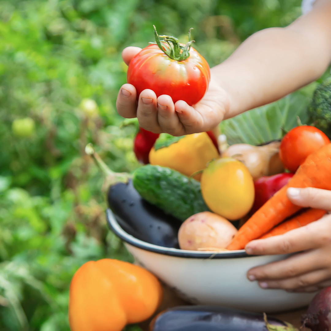 Tips for easier and more enjoyable mealtimes