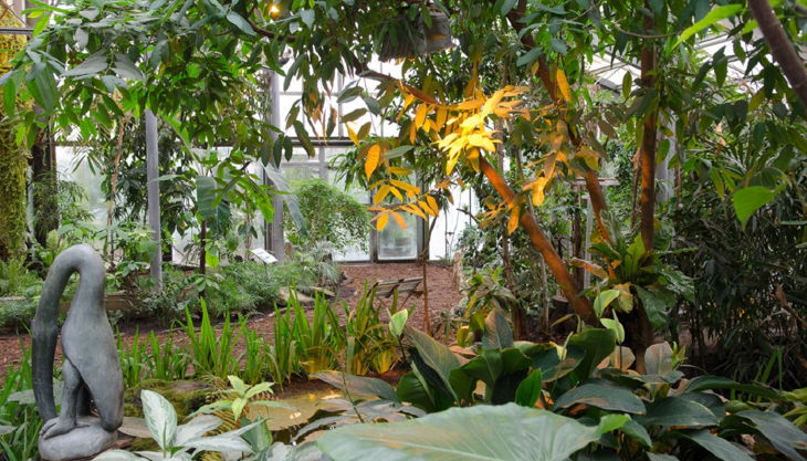 zoo krefeld vogelhaus