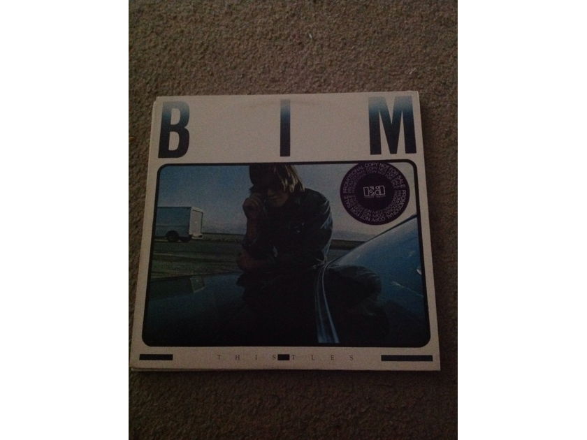 Bim - Thistles Elektra Record Promo  Vinyl LP NM Emitt Rhodes Producer