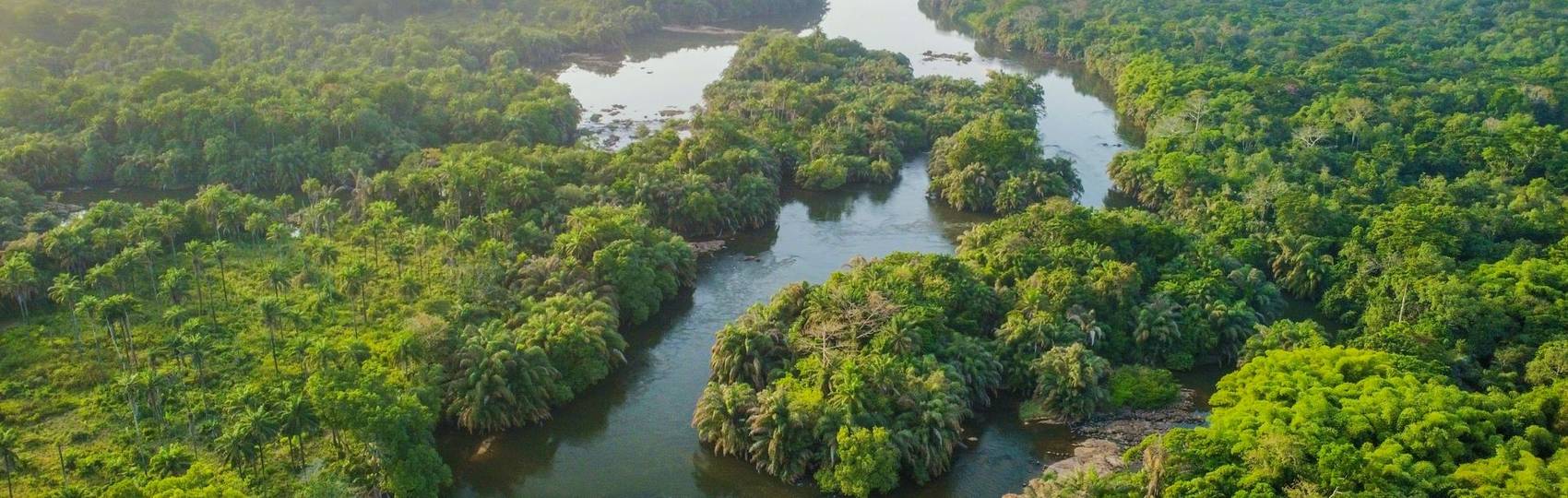 FREETOWN TO FREETOWN (11 days) Sierra Leone Encounters