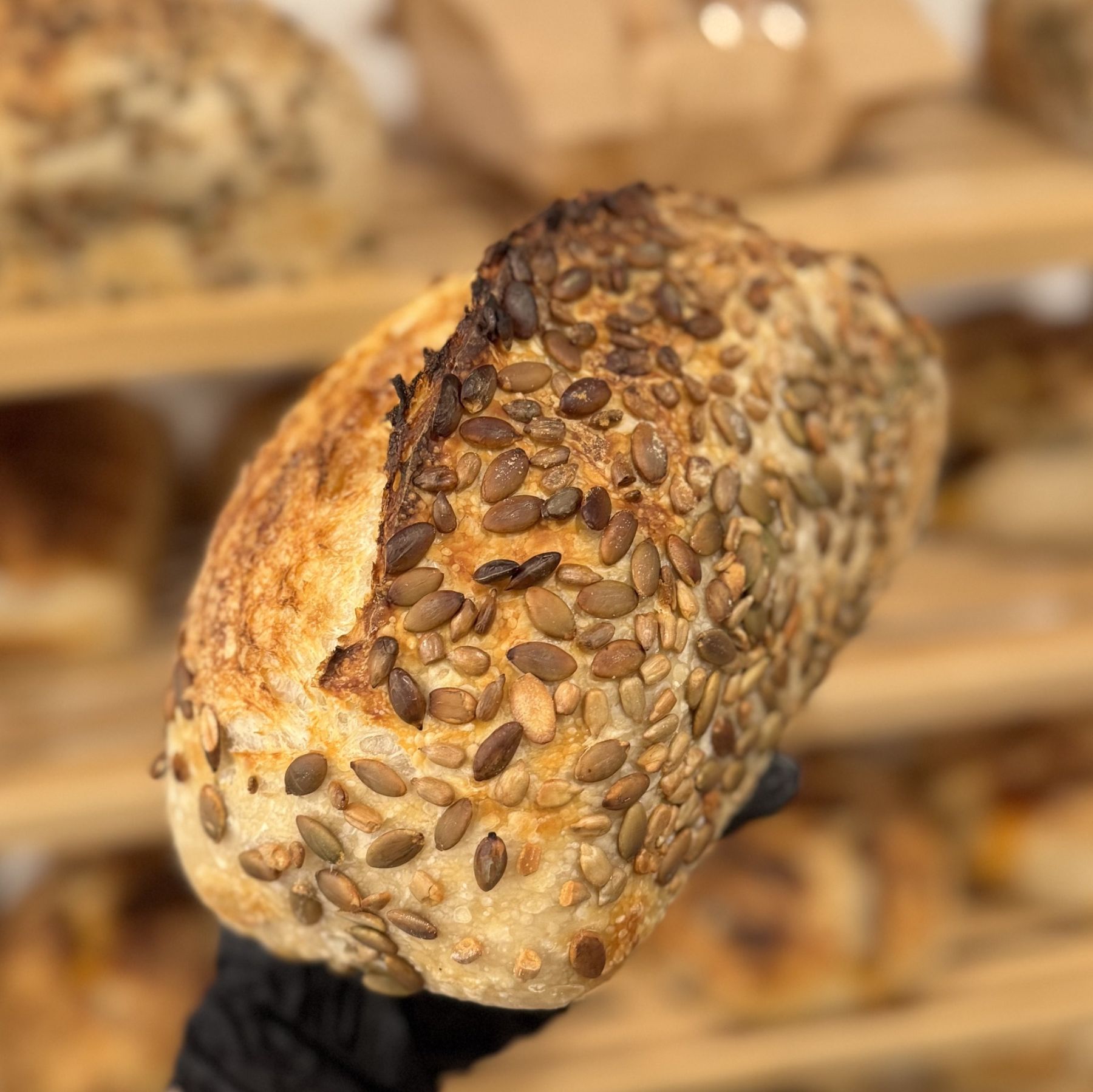 Seeded Tartine