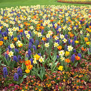 Dallas Arboretum Membership