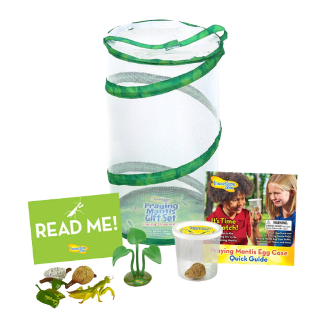 Home School Butterfly Kit