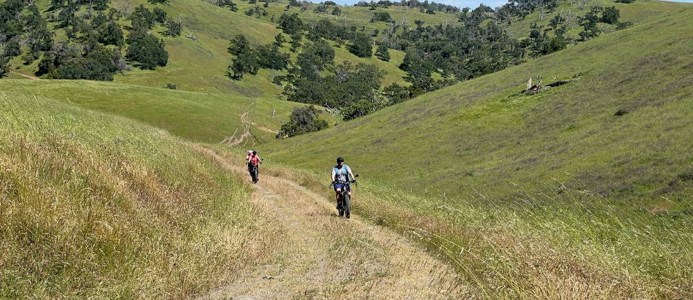 three riders climbing a hill on aventon aventure electric bikes during a tour with Yosemite E-Biking (yosemiteebiking.com)