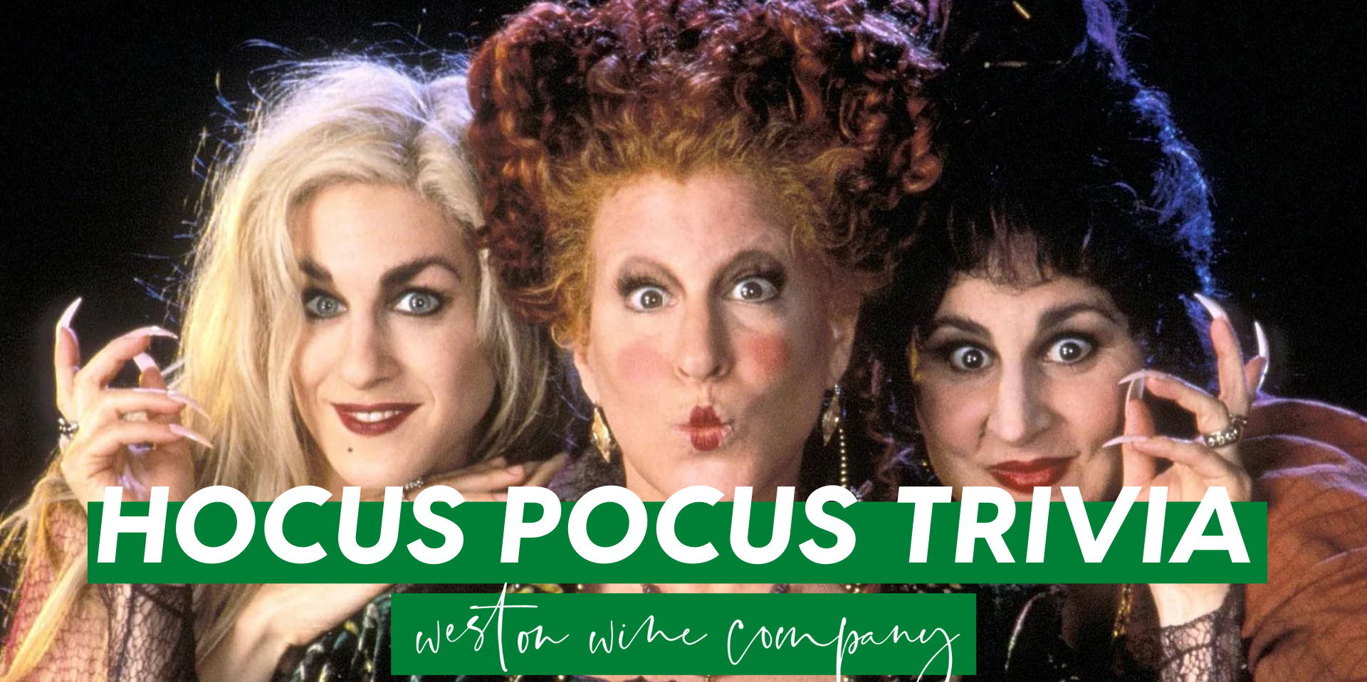 Hocus Pocus Trivia promotional image