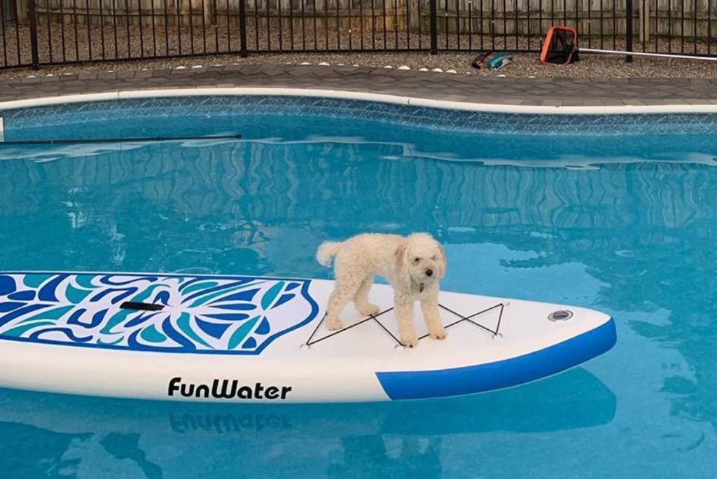 stand up paddleboarding in Canada with UPF shirt