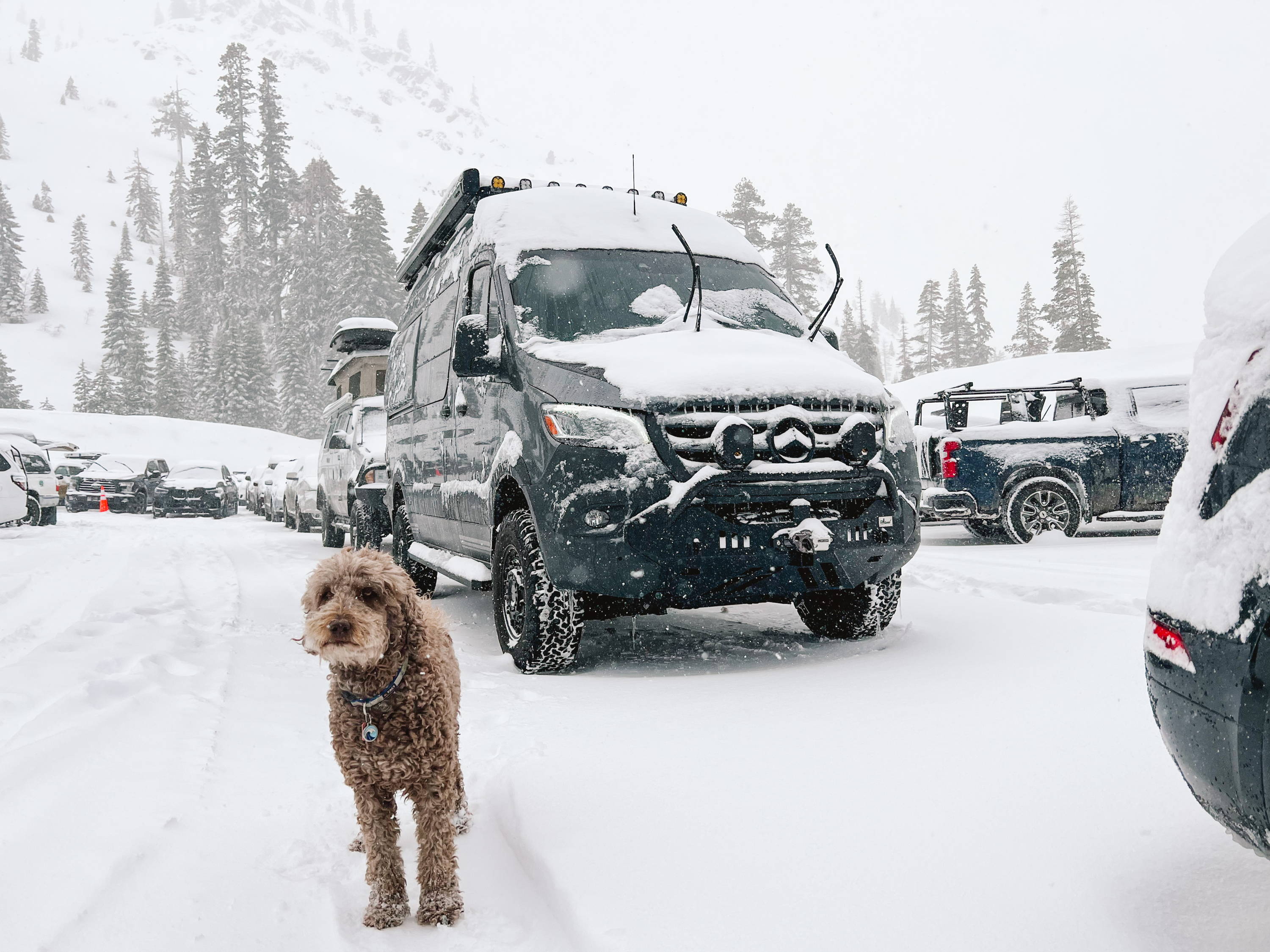 Gracie (the dog) and a Storyteller Overland Stealth MODE during a winter storm in Lake Tahoe, CA.