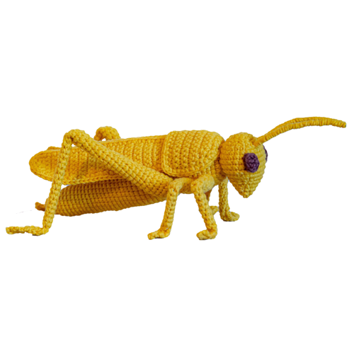 3-in-1-bundel: libel, honingbij, sprinkhaan