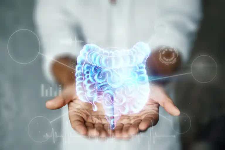 Hands cupping a glowing 3D model of the human intestines, with holographic UI elements around it.