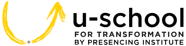 Stakeholder Interviews | u-school for Transformation by Presencing Institute