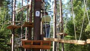 bester geburtstagde kletterwald weiherhof bäumde platform person klettern