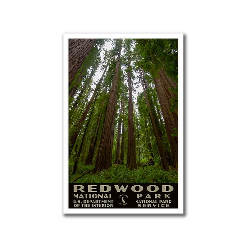 Redwood National Park Poster