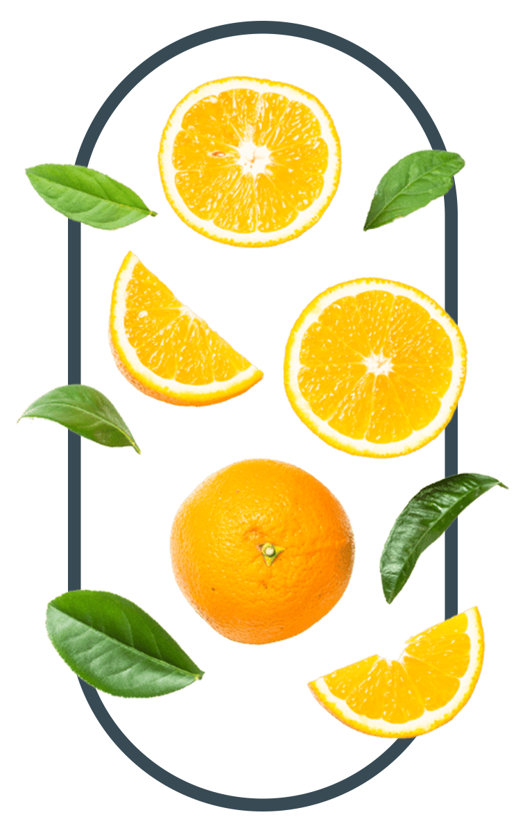 Panax Ginseng, a key ingredient in the best tongkat ali singapore