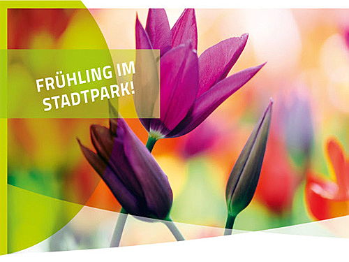  Hamburg
- Frühling im Stadtpark.jpg
