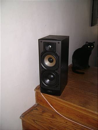 Surrounds: Paradigm Studio 40 v2