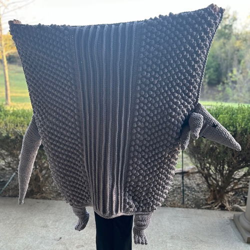 Armadillo Blanket