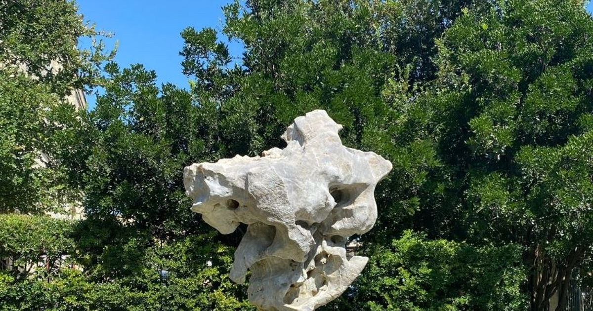 The Journey of the Taihu Rock