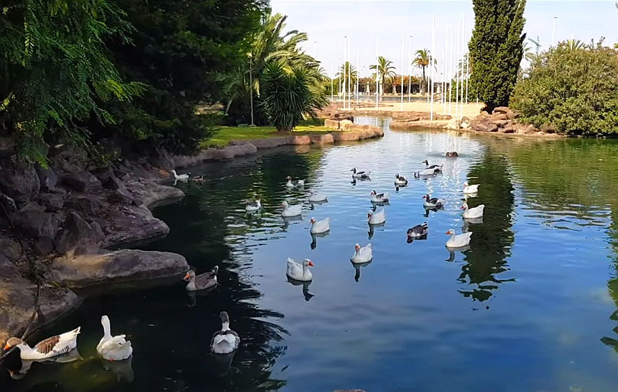  Torrevieja
- parque de las naciones torrevieja costa blanca.jpg