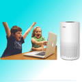 air purifier and humidifier