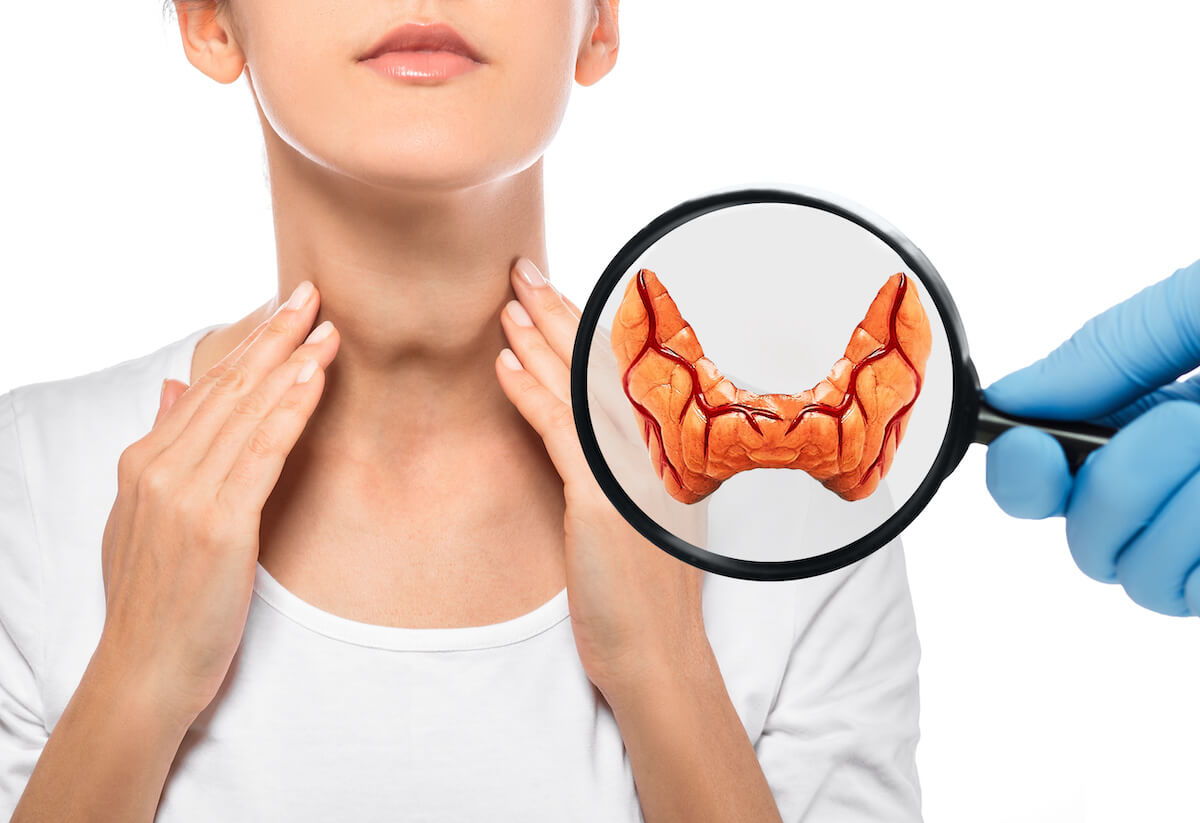 l carnitine hashimoto's thyroiditis Parallel investigation of oxidative stress and nutritional profile in women with CoQ10 and L-Carnitine: Benefits, Dosage  Carnitine and Thyroid Disease -