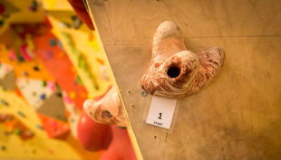 bester geburtstagde t hall kletterhalle titelbid start stein