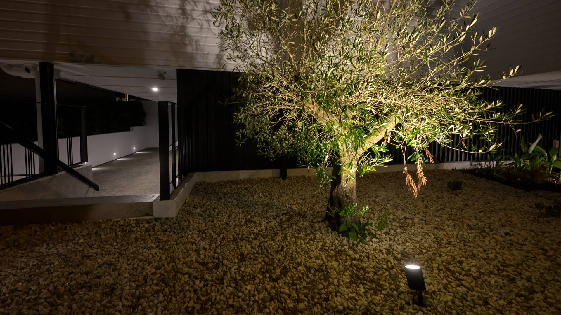 Outdoor shot of the home's garden in the front. Small tree in the middle illuminated by a Garden Spike Light by Havit