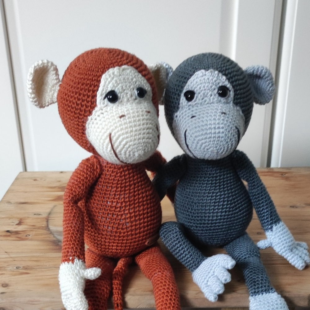 Keesje Aap --> Kees the Monkey