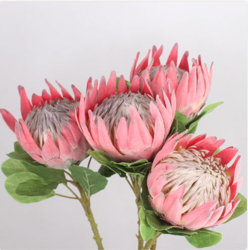 King Protea - Realistic Artificial Flowers - Image 6