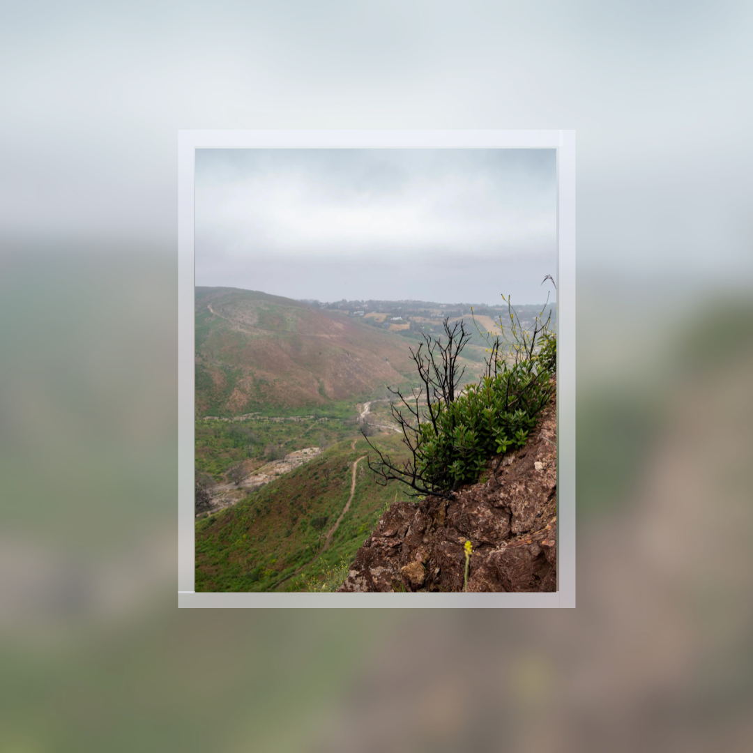 Main Content Image
